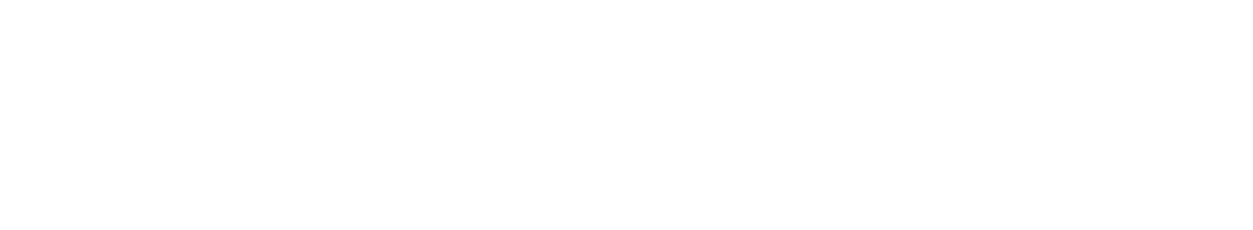 Jake The Agency